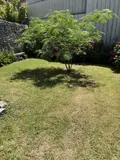 Maison a vendre Vannes 56000 Morbihan 56 125 m2 6 pièces 666500 euros 56002-1533 003