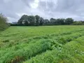 Terrain a batir a vendre Scrignac 29640 Finistère 29 27500 euros 29064-2760 003
