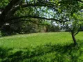 Maison a vendre Maisoncelles-du-Maine 53170 Mayenne 53 232 m2 9 pièces 385000 euros 53079-1415 004