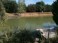 Terrains de loisirs bois etangs a vendre Barrou 37350 Indre-et-Loire 37 17850 euros 37082-314 002