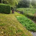 Terrains de loisirs bois etangs a vendre Lamnay 72320 Sarthe 72 9300 euros 72085-2210 006