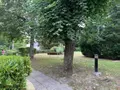 Appartement a vendre Reims 51100 Marne 51 133 m2 6 pièces 275000 euros 51082-2446 007