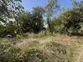 Terrain a batir a vendre Gueux 51390 Marne 51 300000 euros 51066-2115 005