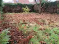 Maison a vendre Grand-Couronne 76530 Seine-Maritime 76 86 m2 4 pièces 202500 euros 76009-461 014
