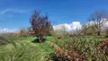 Maison a vendre Marans 17230 Charente-Maritime 17 89 m2 3 pièces 227240 euros 17015-505 020