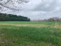 Terrain a batir a vendre Guer 56380 Morbihan 56 218190 euros 56046-1076 001