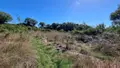 Maison a vendre Plusquellec 22160 Côtes-d'Armor 22 50 m2 3 pièces 63000 euros 29066-3913 018