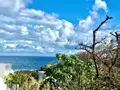 Terrain a batir a vendre Saint-Pierre 97250 Martinique 972 262500 euros 97410-704 001