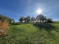 Maison a vendre Ville-en-Tardenois 51170 Marne 51 205 m2 7 pièces 424000 euros 51066-2026 015