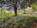 Maison a vendre Thorigné-en-Charnie 53270 Mayenne 53 71 m2 4 pièces 52500 euros 53018-1801 006