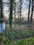 Terrain a batir a vendre La Selle-en-Hermoy 45210 Loiret 45 44000 euros 45049-98 002