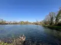 Terrains de loisirs bois etangs a vendre Connerré 72160 Sarthe 72 85000 euros 72033-426 007