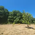 Maison a vendre Saint-Maixent 72320 Sarthe 72 125 m2 5 pièces 234000 euros 72085-2275 005