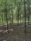 Terrains de loisirs bois etangs a vendre Noues de Sienne 14380 Calvados 14 168800 euros 14076-5956 008