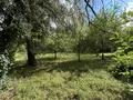 Maison a vendre Cardroc 35190 Ille-et-Vilaine 35 124 m2 285350 euros 35021-2096 009