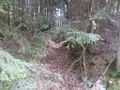 Terrains de loisirs bois etangs a vendre La Folletière-Abenon 14290 Calvados 14 6500 euros 14058-1510 004