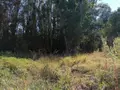 Terrains de loisirs bois etangs a vendre Barrou 37350 Indre-et-Loire 37 17850 euros 37082-314 004