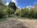 Terrains de loisirs bois etangs a vendre Beaumont-sur-Sarthe 72170 Sarthe 72 37640 euros 72126-3245 009