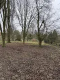 Terrain a batir a vendre Mailly-Maillet 80560 Somme 80 32000 euros 80121-2626 002
