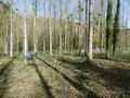 Terrains de loisirs bois etangs a vendre Pont-Farcy 50420 Manche 50 11000 euros 14076-5642 003
