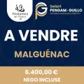 Terrains de loisirs bois etangs a vendre Malguénac 56300 Morbihan 56 6400 euros 56062-2019 002