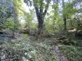 Maison a vendre Saint-Jean-Brévelay 56660 Morbihan 56 47 m2 2 pièces 59000 euros 56056-196 011
