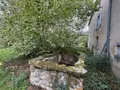 Maison a vendre Crevant-Laveine 63350 Puy-de-Dôme 63 316 m2 9 pièces 375000 euros 63022-87 030