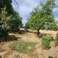 Maison a vendre Bouër 72390 Sarthe 72 83 m2 5 pièces 95400 euros 72085-2280 004