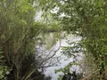 Terrains de loisirs bois etangs a vendre Saint-Martin-du-Bois 49500 Maine-et-Loire 49 48600 euros 49098-1425 004