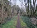 Terrains de loisirs bois etangs a vendre Ames 62190 Pas-de-Calais 62 28000 euros 62050-1772 001