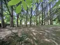 Maison a vendre Saintes 17100 Charente-Maritime 17 405 m2 11 pièces 475000 euros 17111-738 036