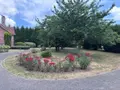 Maison a vendre Anzin-Saint-Aubin 62223 Pas-de-Calais 62 345 m2 8 pièces 799000 euros 62133-1493 003