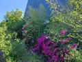 Immeuble de rapport a vendre Plounéour-Ménez 29410 Finistère 29 800 m2 263500 euros 29107-2761 015