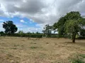 Maison a vendre Scrignac 29640 Finistère 29 100 m2 7 pièces 199500 euros 29066-3729 019