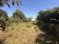 Terrain a batir a vendre Île-aux-Moines 56780 Morbihan 56 320000 euros 56089-137 006