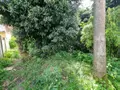 Maison a vendre Burbure 62151 Pas-de-Calais 62 96 m2 5 pièces 99000 euros 62050-1712 012