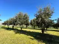Maison a vendre Noyant-de-Touraine 37800 Indre-et-Loire 37 120 m2 7 pièces 501300 euros 37072-643 004