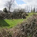 Terrains de loisirs bois etangs a vendre Chérencé-le-Héron 50800 Manche 50 6800 euros 50038-2565 002