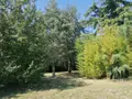 Maison a vendre Bournan 37240 Indre-et-Loire 37 78 m2 3 pièces 57750 euros 37082-243 009