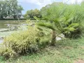 Terrains de loisirs bois etangs a vendre Brée 53150 Mayenne 53 69000 euros 53004-1342 012