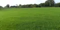 Terrains de loisirs bois etangs a vendre Magneville 50260 Manche 50 8600 euros 50061-3004 002