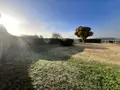 Maison a vendre Saint-Romain-sur-Cher 41140 Loir-et-Cher 41 133 m2 5 pièces 198220 euros 41033-1829 005