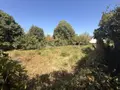 Terrain a batir a vendre Île-aux-Moines 56780 Morbihan 56 320000 euros 56089-137 005