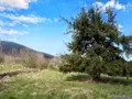 Terrain a batir a vendre Thoiry 01710 Ain 01 300000 euros 01043-150 002