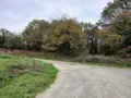 Terrains de loisirs bois etangs a vendre Allaire 56350 Morbihan 56 7500 euros 56084-354 007