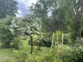 Maison a vendre Annebault 14430 Calvados 14 95 m2 4 pièces 313500 euros 14069-425 002