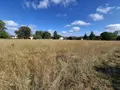 Terrain a batir a vendre Les Gonds 17100 Charente-Maritime 17 146888 euros 17111-756 004