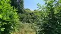 Maison a vendre Callac 22160 Côtes-d'Armor 22 80 m2 6 pièces 84000 euros 29066-3911 022