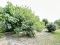 Maison a vendre Guer 56380 Morbihan 56 218 m2 259750 euros 56046-1388 025