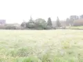 Terrain a batir a vendre Neuil 37190 Indre-et-Loire 37 131400 euros 37072-640 003